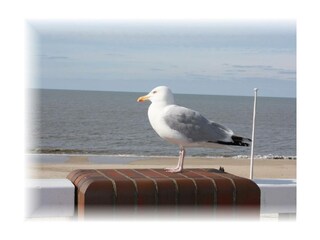 Ferienwohnung Morsum Außenaufnahme 10