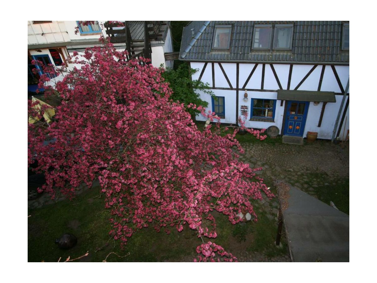 Ferienwohnung Retschow Außenaufnahme 1