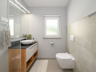 Villa Sošići Caratteristiche 23