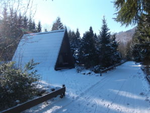 Nurdachferienhaus / Finnhütte "Erika" - Lautenthal - image1