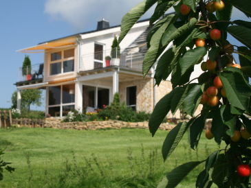 Ferienhaus Hörnchens Hörle