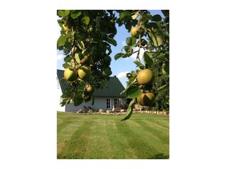 Ferienwohnung Putbus Außenaufnahme 5