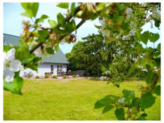 Ferienwohnung Putbus Außenaufnahme 25