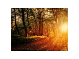 Ferienwohnung Putbus Außenaufnahme 30