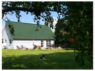 Ferienwohnung Putbus Außenaufnahme 33