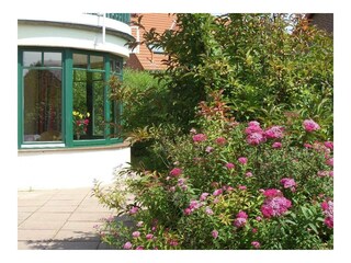 Ferienwohnung Rerik Außenaufnahme 14