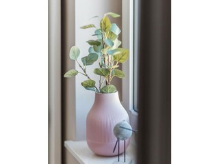 Ferienwohnung Rerik Außenaufnahme 9