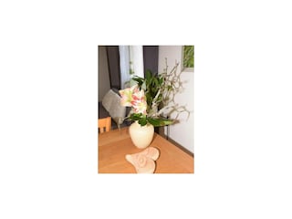Ferienwohnung Salem Außenaufnahme 6
