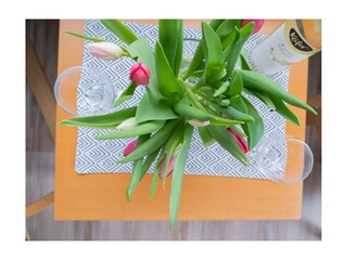 Ferienwohnung Norddeich Außenaufnahme 3