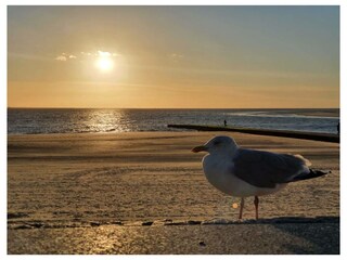 Ferienwohnung Welt Außenaufnahme 18