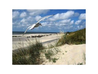 Ferienwohnung Welt Außenaufnahme 8