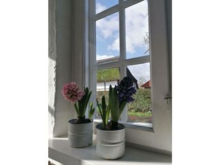 Ferienwohnung Schwienkuhl Außenaufnahme 8