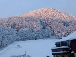 Holiday apartment Waltersdorf Outdoor Recording 13