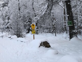 Holiday apartment Waltersdorf Outdoor Recording 15