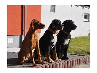 Ferienwohnung Trassenheide Außenaufnahme 15