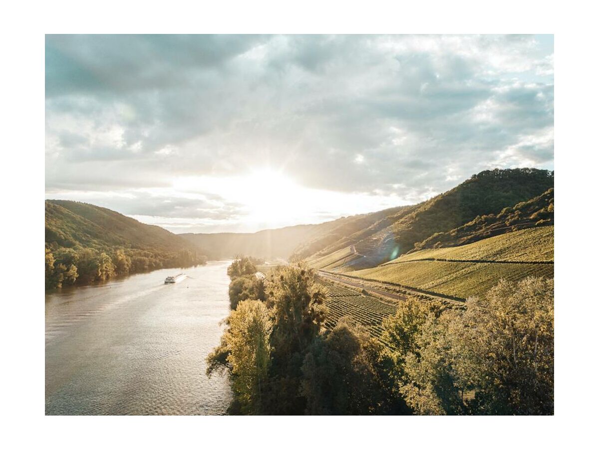 Ferienwohnung Pommern an der Mosel Außenaufnahme 8