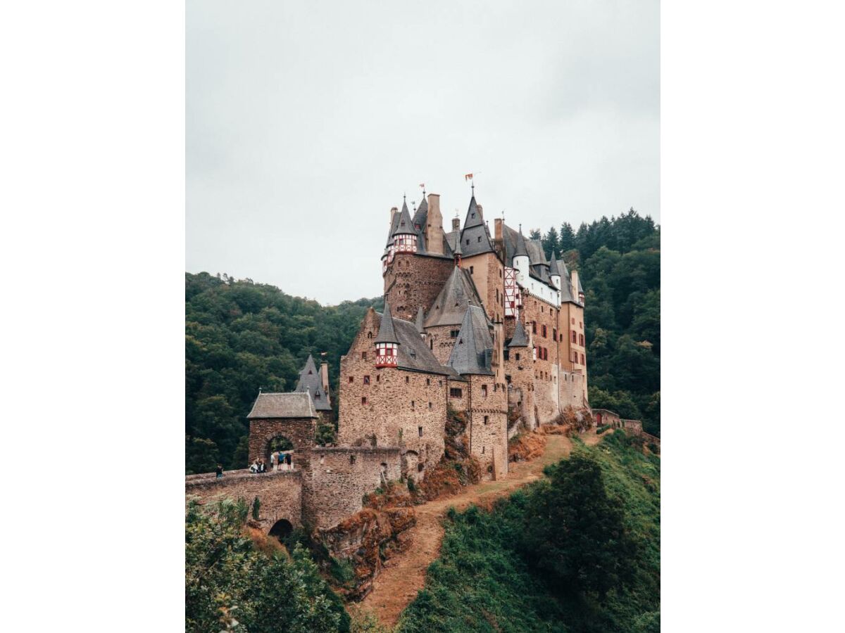 Ferienwohnung Pommern an der Mosel Außenaufnahme 10