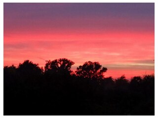 Ferienwohnung Mardorf Außenaufnahme 19