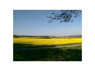 Ferienwohnung Mardorf Außenaufnahme 20