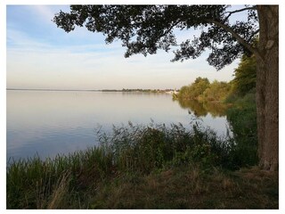 Ferienwohnung Mardorf Außenaufnahme 25