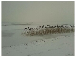 Ferienwohnung Mardorf Außenaufnahme 28