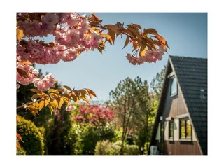 Ferienwohnung Dorum-Neufeld Außenaufnahme 23