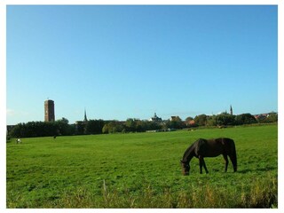 Ferienwohnung Welt Außenaufnahme 12