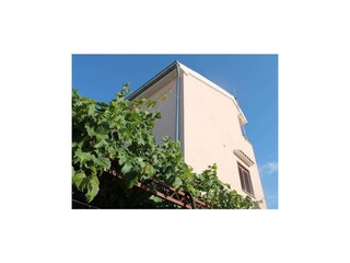 Ferienwohnung Zlarin Außenaufnahme 4