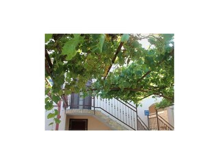 Ferienwohnung Zlarin Außenaufnahme 8