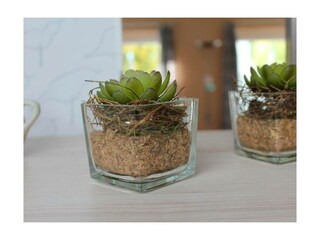 Ferienwohnung Burg auf Fehmarn Außenaufnahme 6