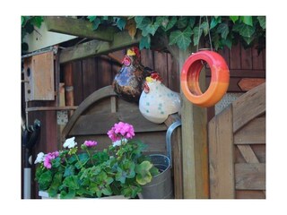 Ferienwohnung Burg auf Fehmarn Außenaufnahme 14