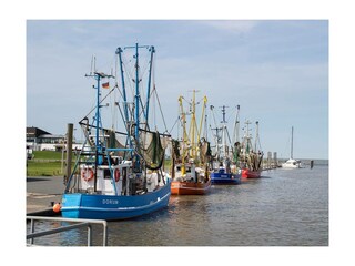 Ferienwohnung Dorum-Neufeld Außenaufnahme 19