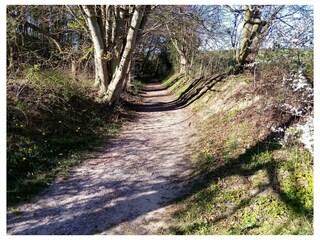 Ferienwohnung Bad Doberan Außenaufnahme 17