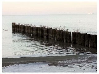 Ferienwohnung Bad Doberan Außenaufnahme 21
