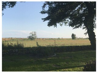 Ferienwohnung Born an der Darß Außenaufnahme 4