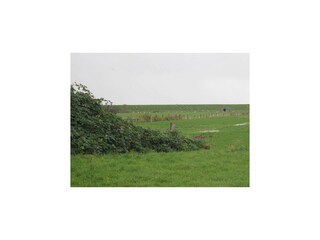 Ferienwohnung Otterndorf Außenaufnahme 3