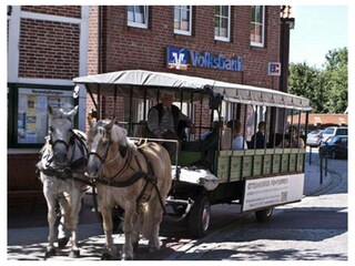 Ferienwohnung Otterndorf Außenaufnahme 19