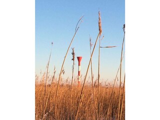 Ferienwohnung Otterndorf Außenaufnahme 23
