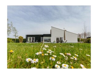 Ferienwohnung Nieuwvliet Außenaufnahme 32
