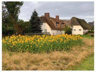 Ferienwohnung Tinnum Außenaufnahme 8