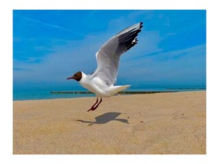 Ferienwohnung Wittenbeck Außenaufnahme 2