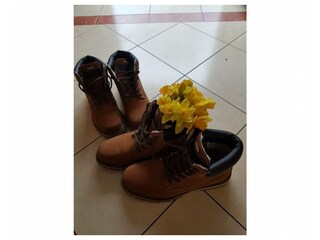 Ferienwohnung Karlshagen Außenaufnahme 16