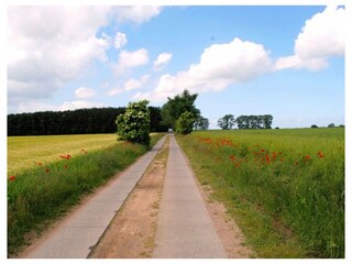Ferienwohnung Karlshagen Außenaufnahme 20