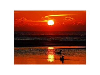 Ferienwohnung Egmond aan Zee Außenaufnahme 47