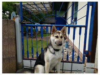 Ferienwohnung Wittenbeck Außenaufnahme 12