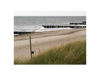 Ferienwohnung Wittenbeck Außenaufnahme 19