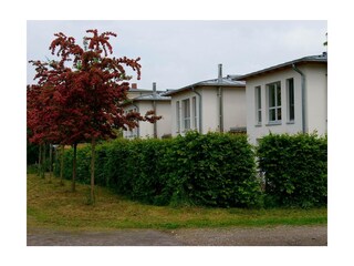 Ferienwohnung Heiligendamm Außenaufnahme 7