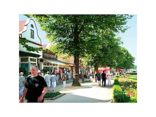 Ferienwohnung Warnemünde Außenaufnahme 13