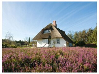 Ferienwohnung Munkmarsch Außenaufnahme 10