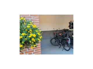 Ferienwohnung Werlte Außenaufnahme 23